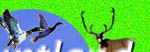 Welcome to Huntland.com
