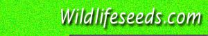 WILDLIFESEEDS.com