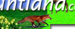 Seedland - Worldwide wildlife conservation seeds...